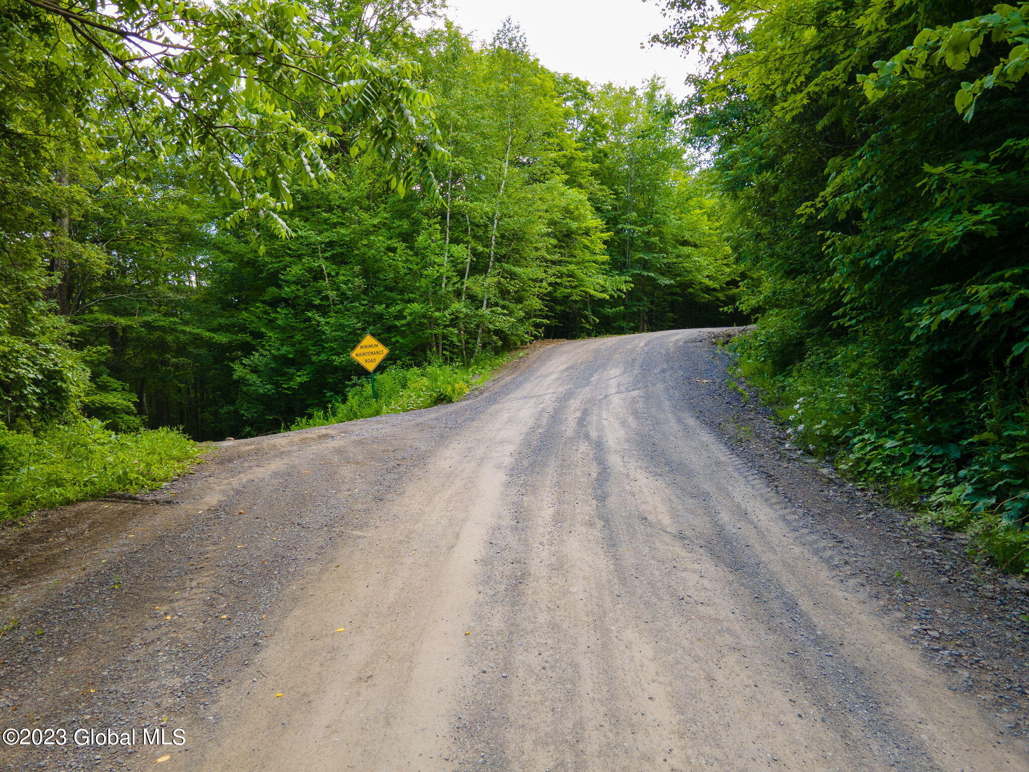 L10.23 Podpadic Road, Richmondville, New York image 1