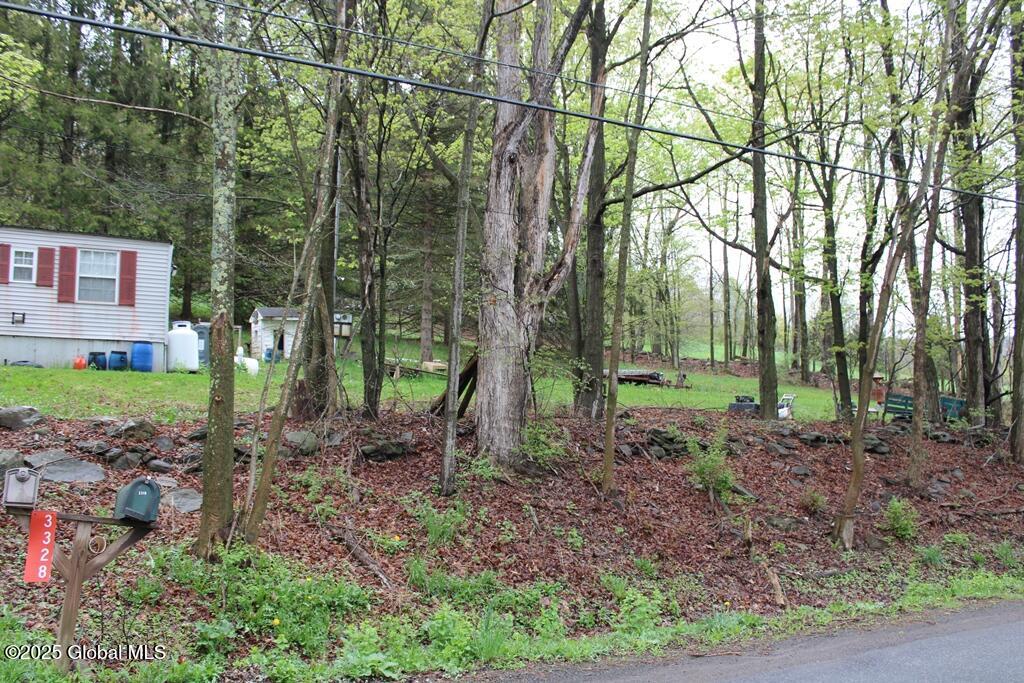 3328 Betty Brook Road, South Kortright, New York image 3