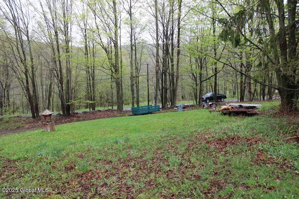 3328 Betty Brook Road, South Kortright, New York image 23