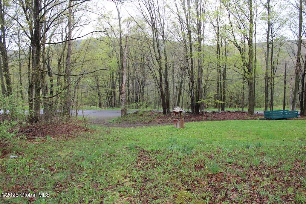 3328 Betty Brook Road, South Kortright, New York image 22