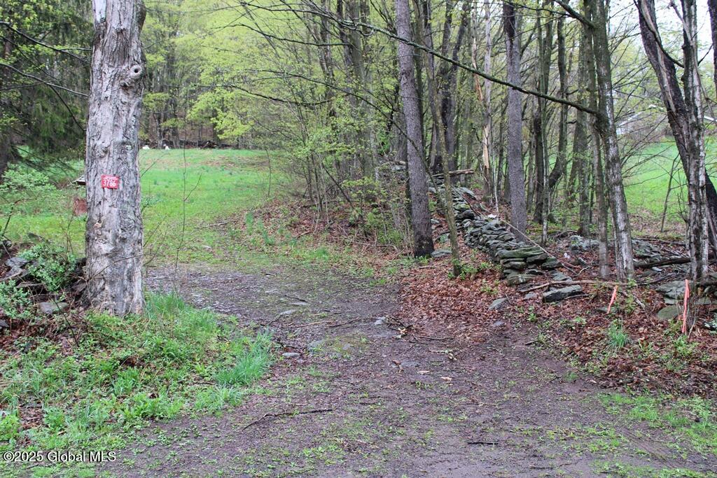 3328 Betty Brook Road, South Kortright, New York image 35