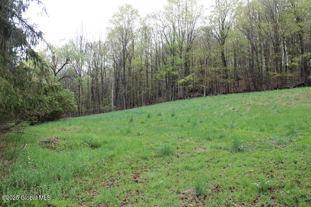 3328 Betty Brook Road, South Kortright, New York image 20