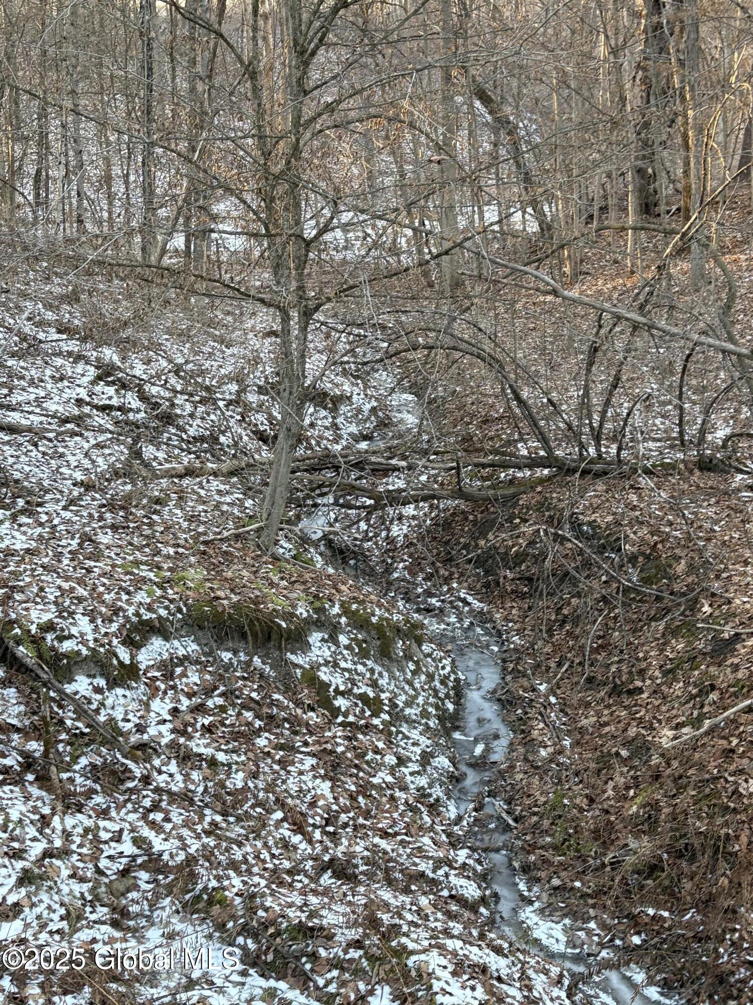 1947 Lick Springs Road, Argyle, New York image 16