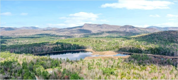 99 BIRD POND RD, NORTH CREEK, NY 12853 - Image b47e1e4c9a3fb80a9c47771a97aef0ea/1153829343
