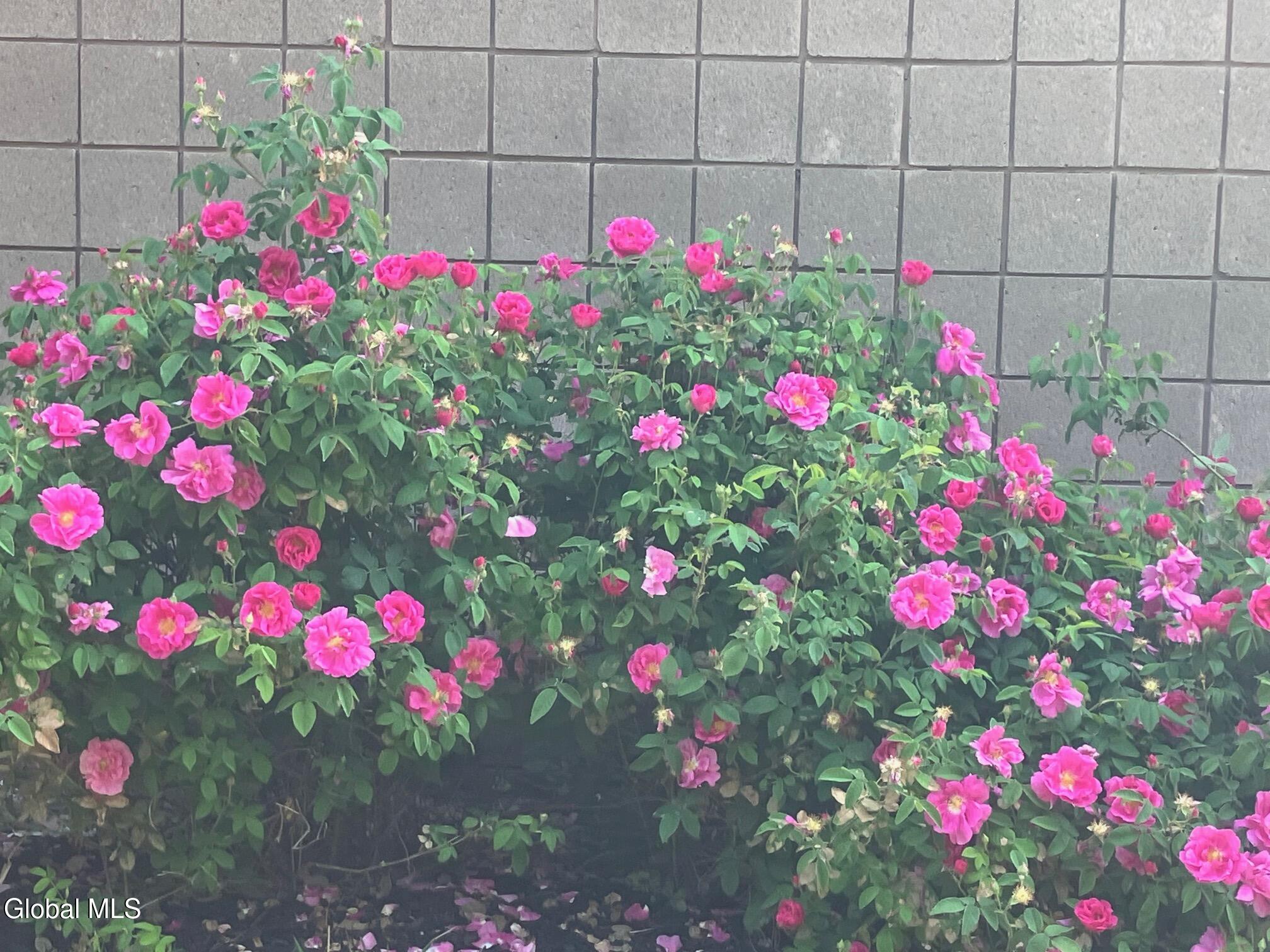 Cohoes, New York 12047, United States, ,Commercial,Active,212894