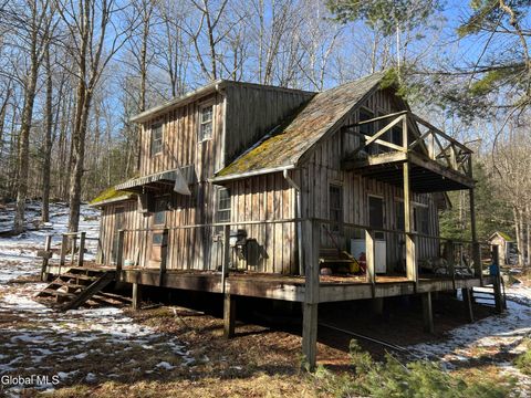 Photo of 536 Bates Forest Road, Conesville, NY 12076 (MLS # 202619568)