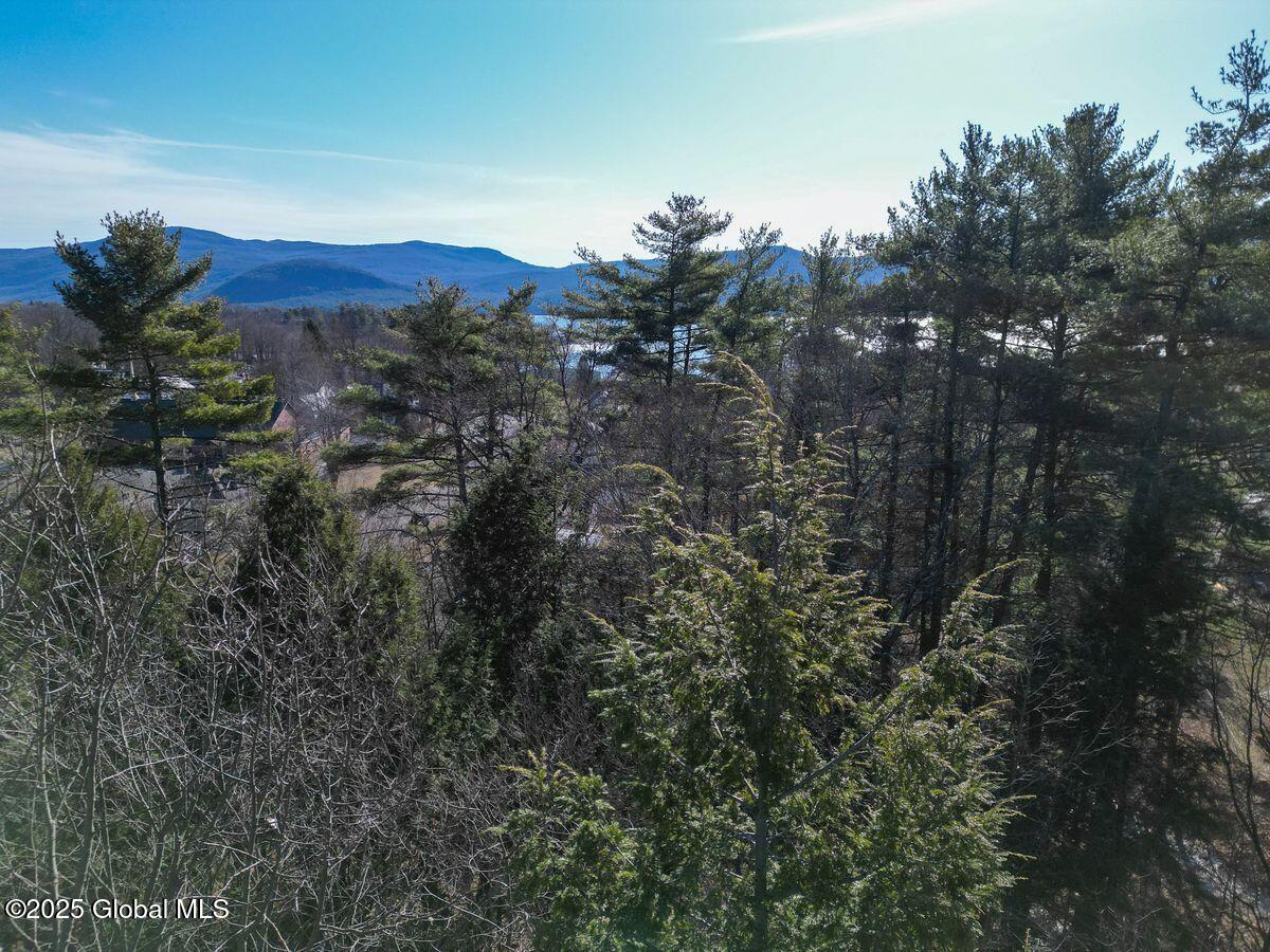 Brook Street, Bolton Landing, New York image 4