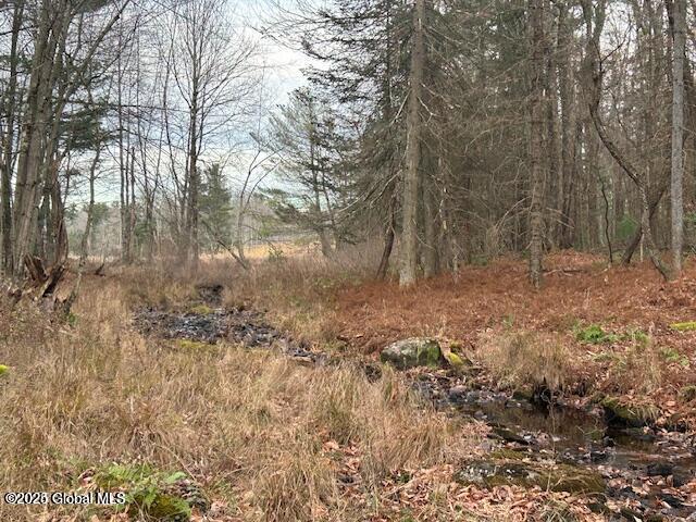 1A Nugent Road, Grafton, New York image 14