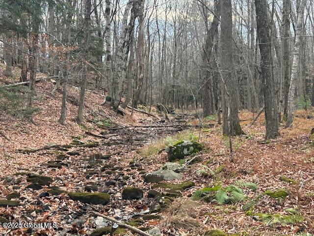 1A Nugent Road, Grafton, New York image 1