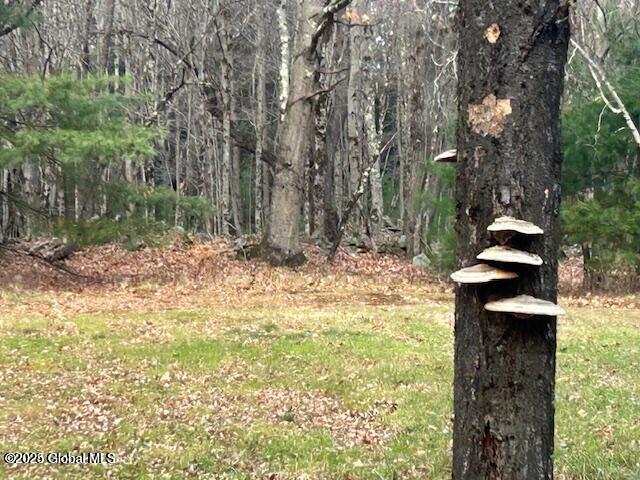 1A Nugent Road, Grafton, New York image 12