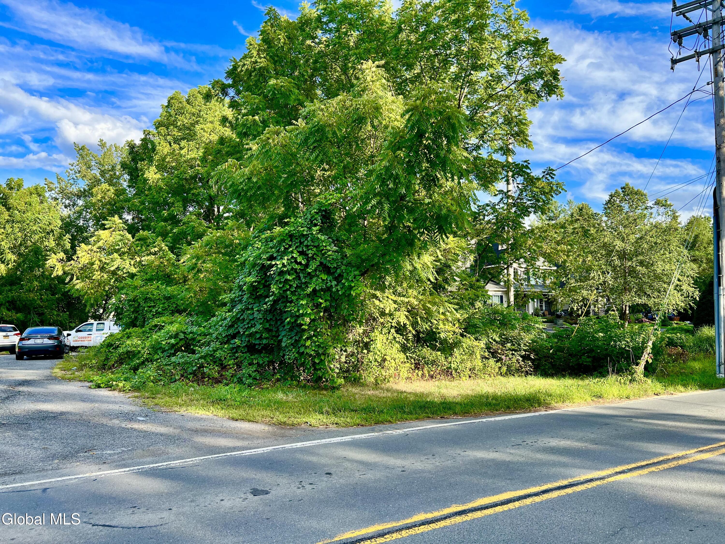 Schenectady, New York 12309, United States, ,Land,Active,248653
