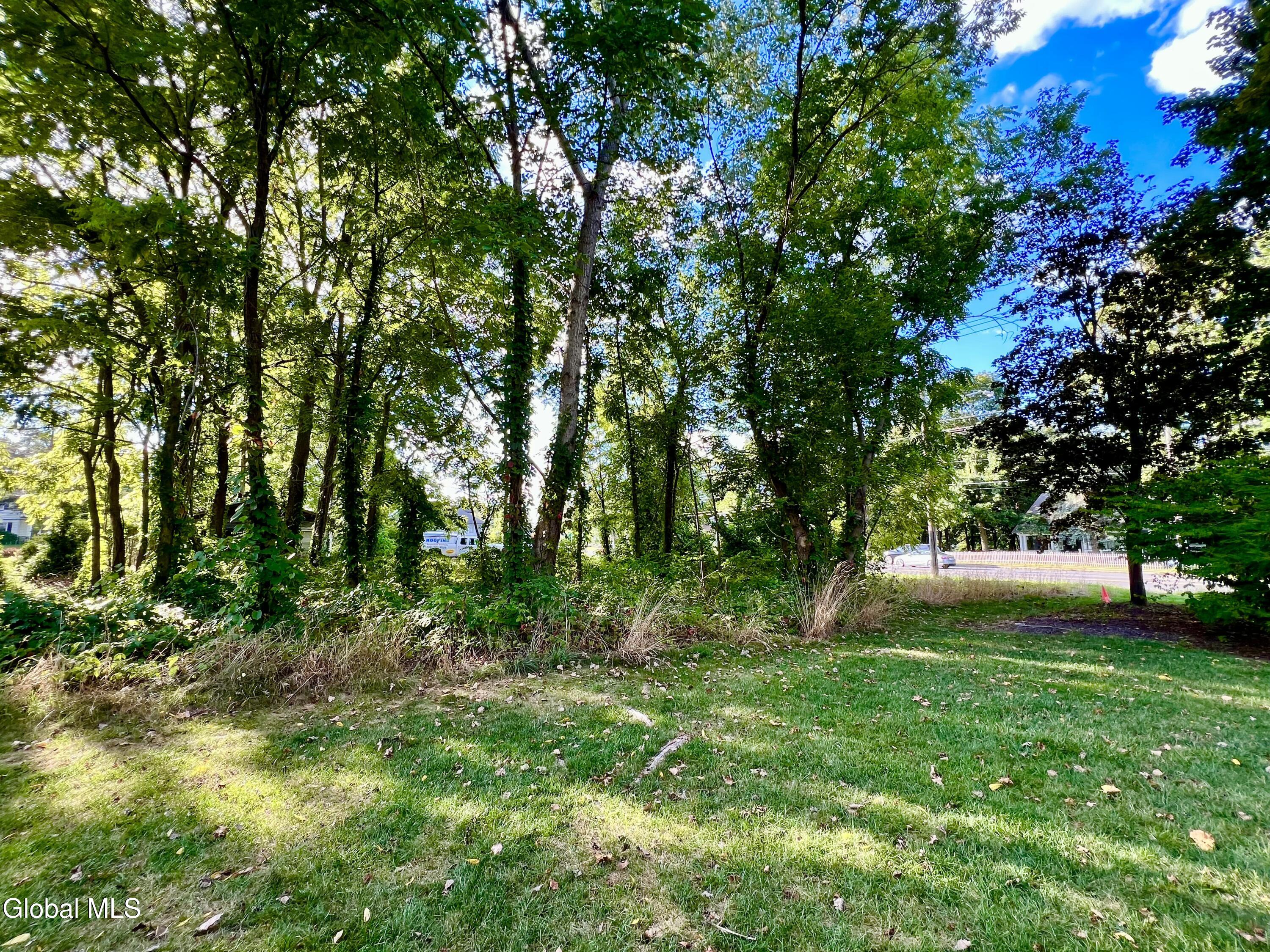 Schenectady, New York 12309, United States, ,Land,Active,248653