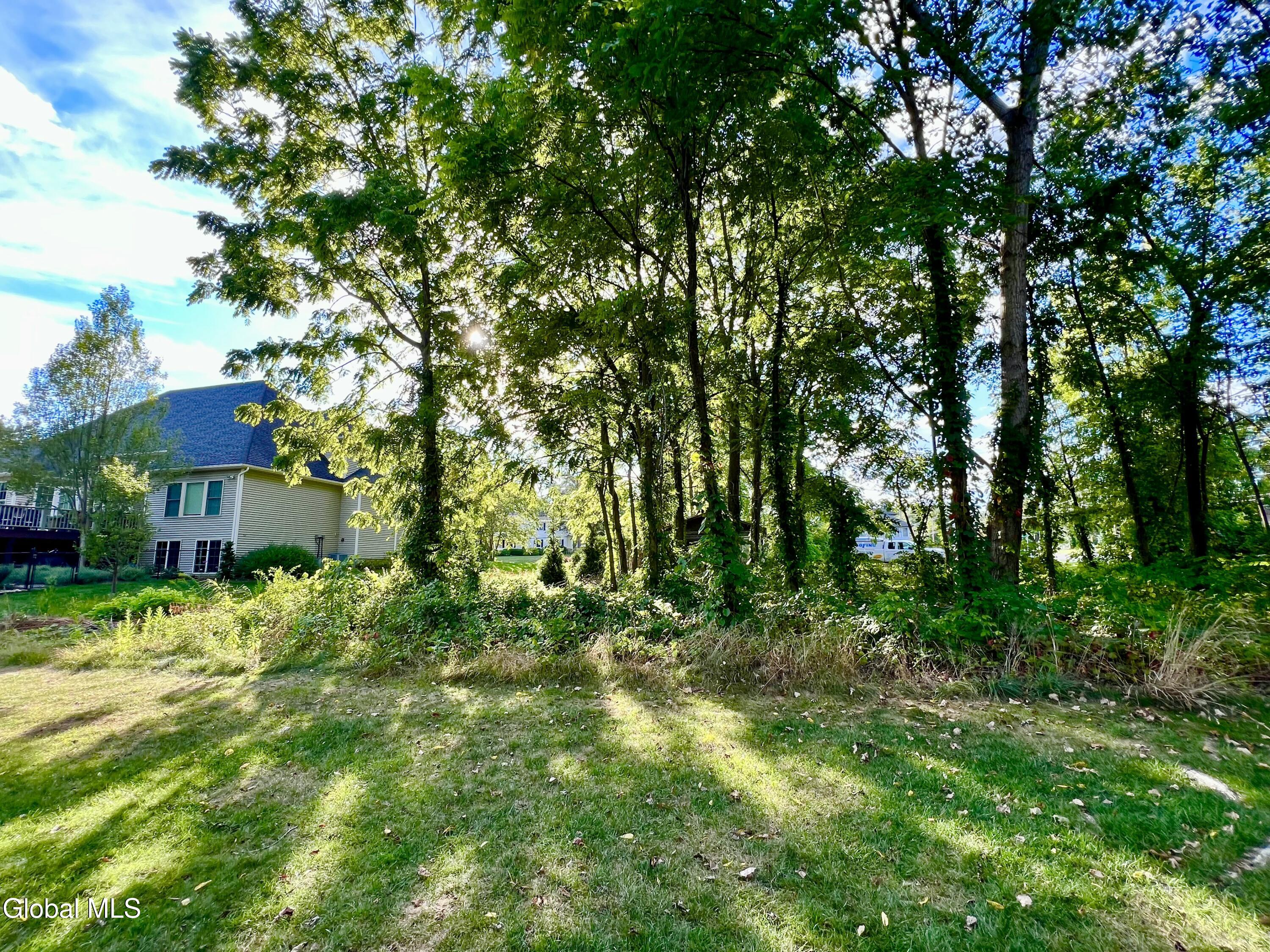 Schenectady, New York 12309, United States, ,Land,Active,248653