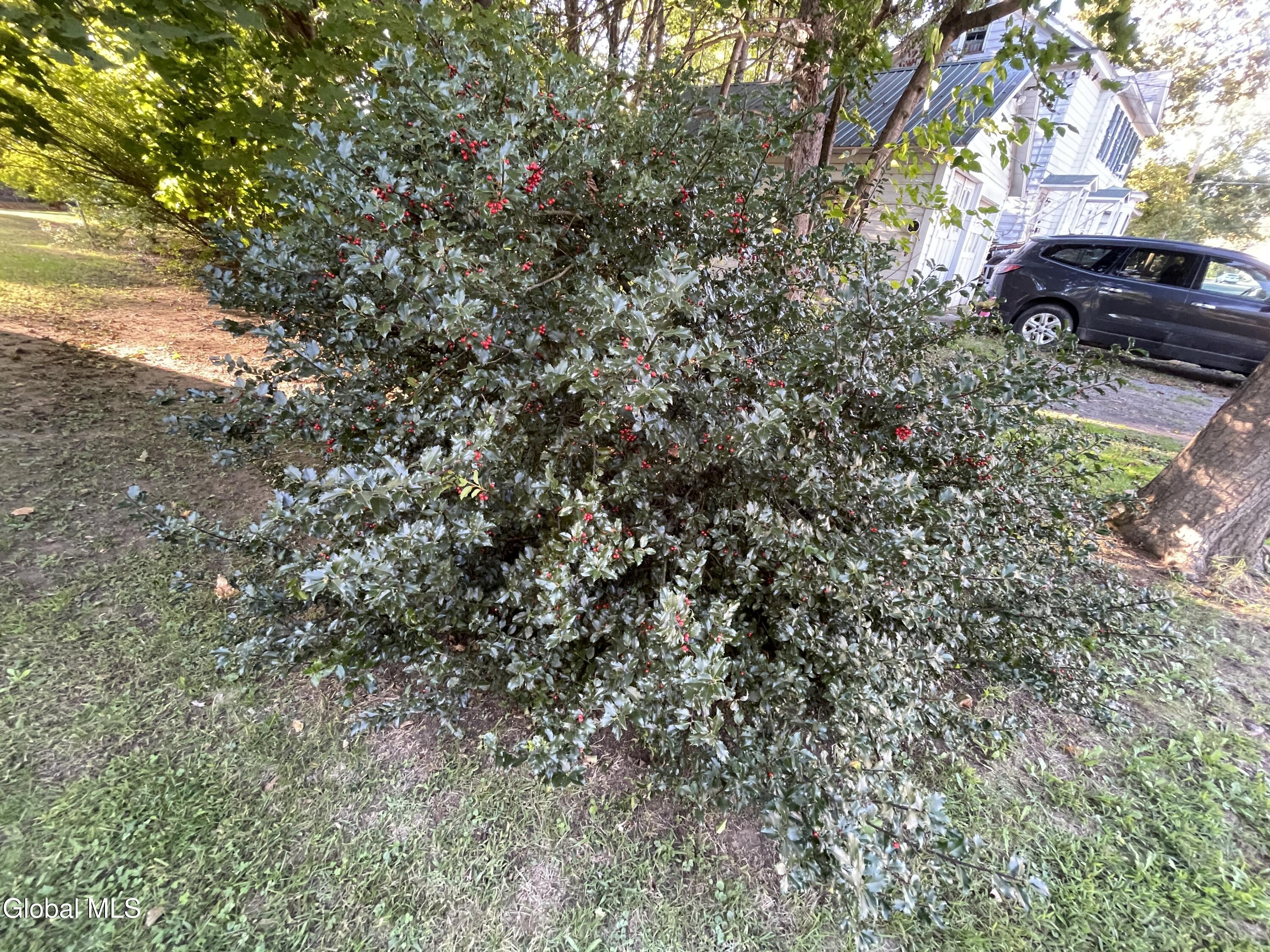 Greenwich, New York 12834, United States, 4 Bedrooms Bedrooms, ,2 BathroomsBathrooms,Residential,Active,226030