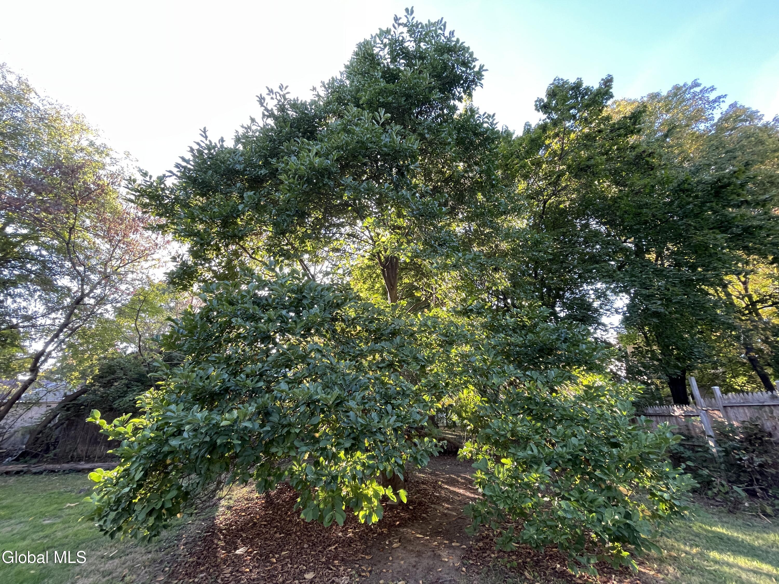 Greenwich, New York 12834, United States, 4 Bedrooms Bedrooms, ,2 BathroomsBathrooms,Residential,Active,226030