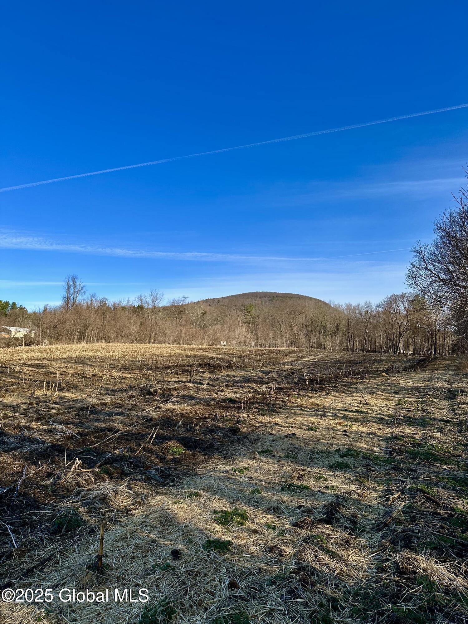 L10 School House Rd, Middleburgh, New York image 1