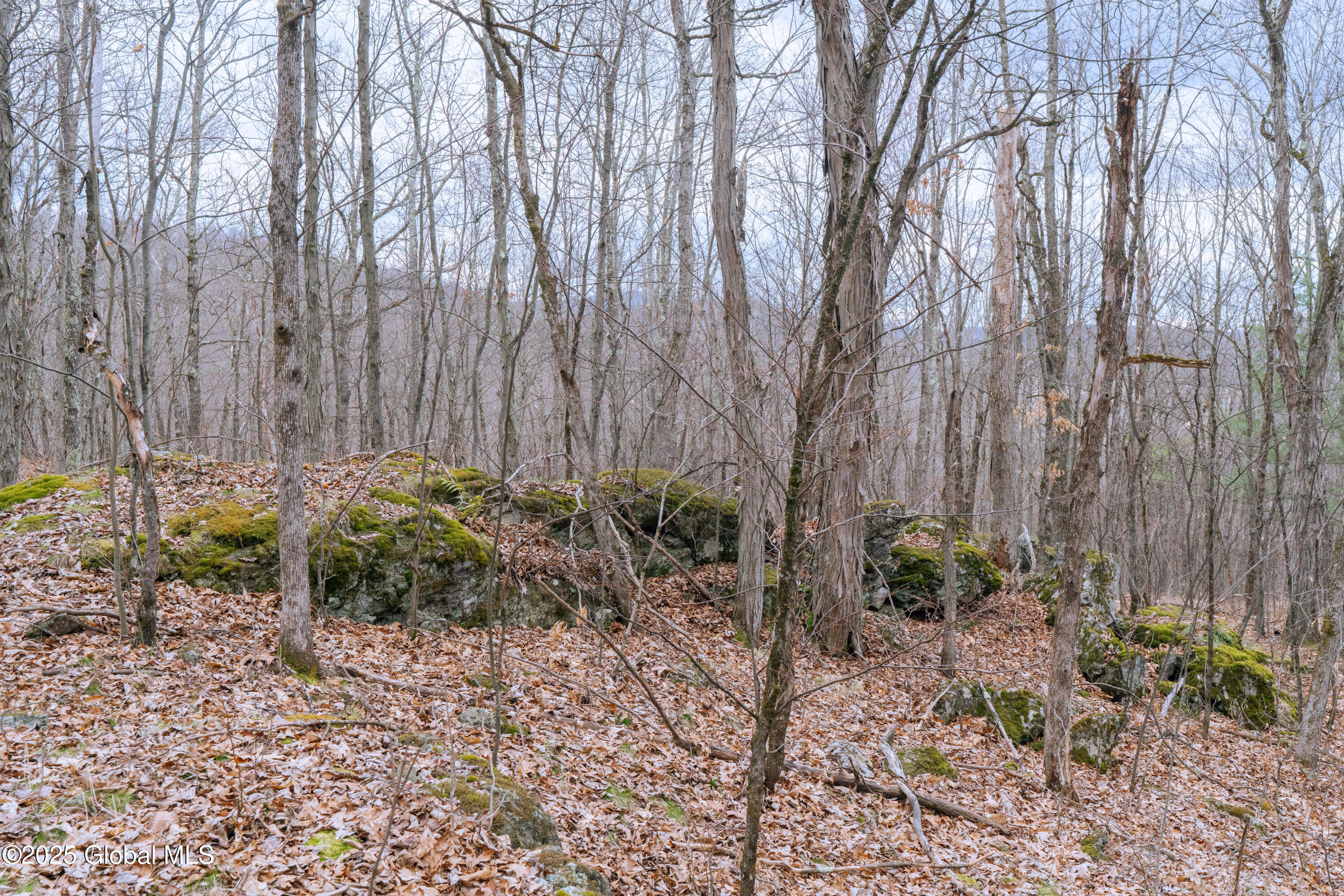 52 Oak Hill Road, Salem, New York image 31