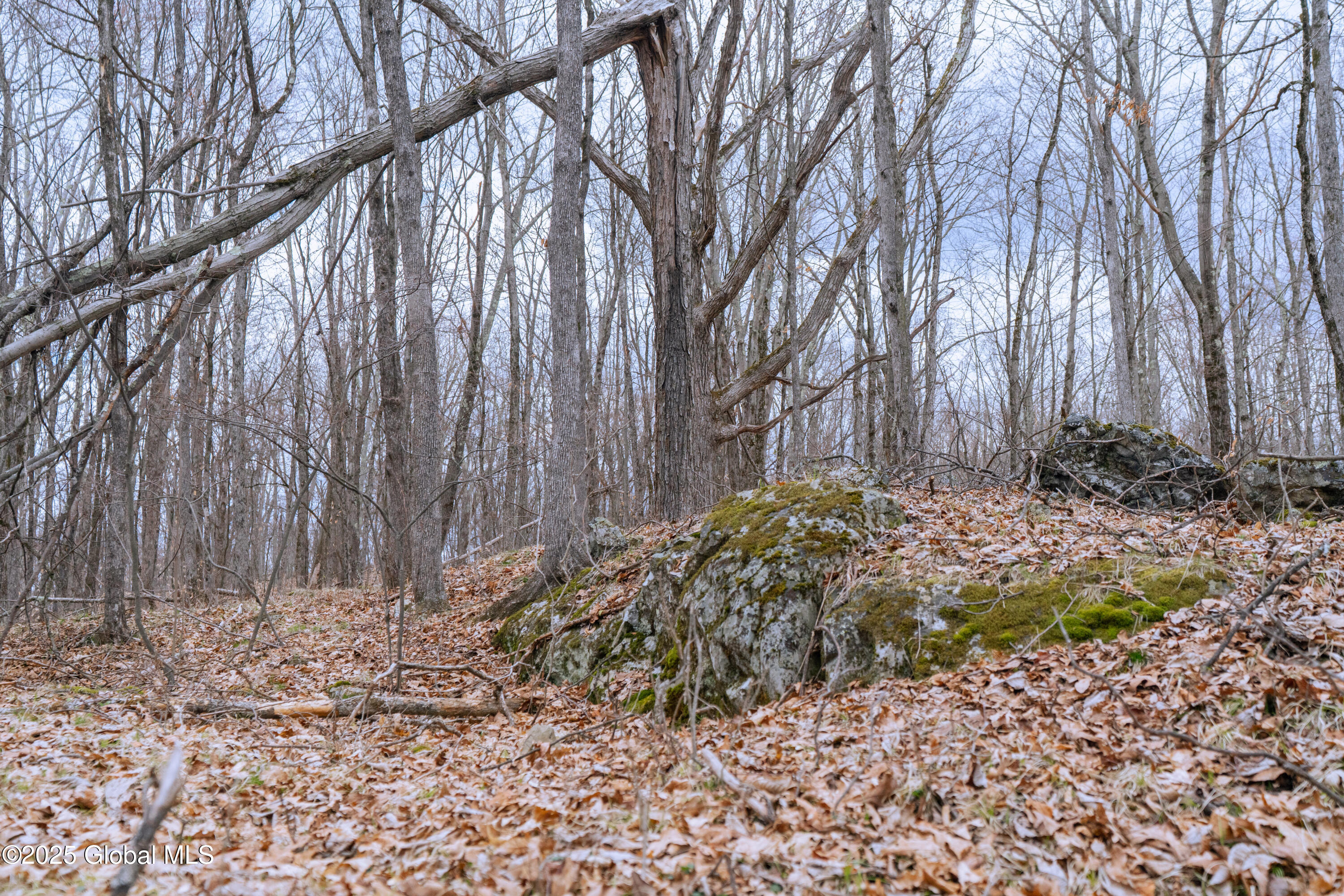 52 Oak Hill Road, Salem, New York image 33
