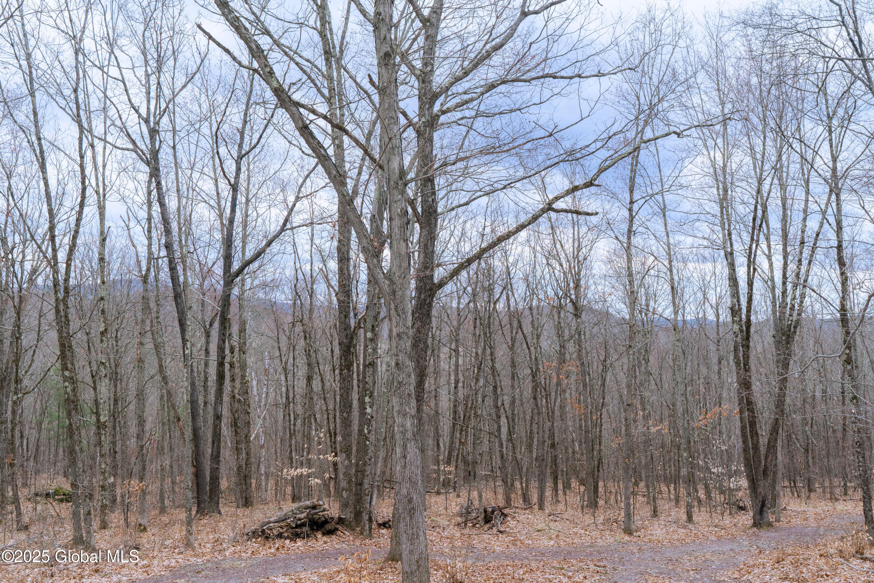 52 Oak Hill Road, Salem, New York image 29