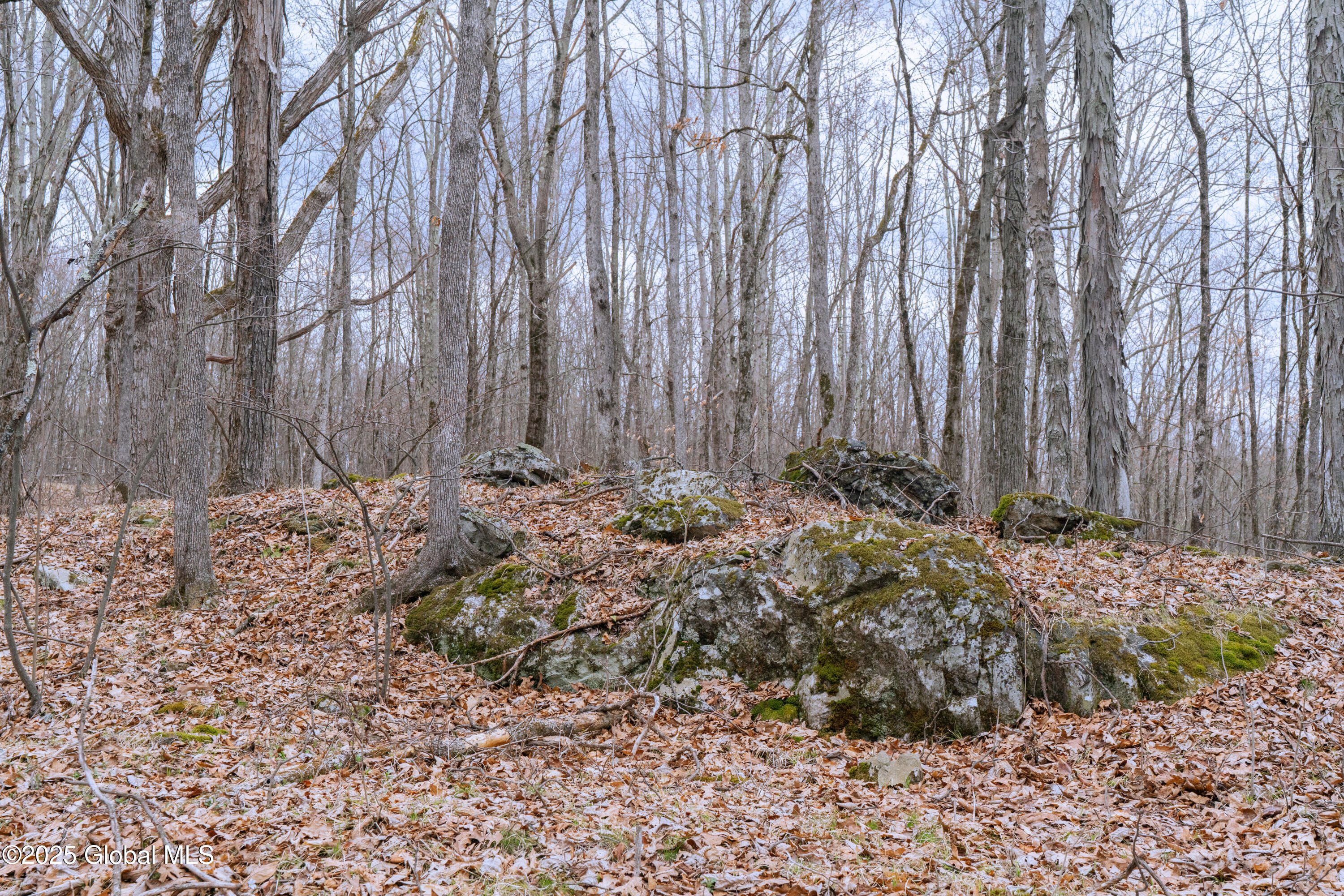52 Oak Hill Road, Salem, New York image 35