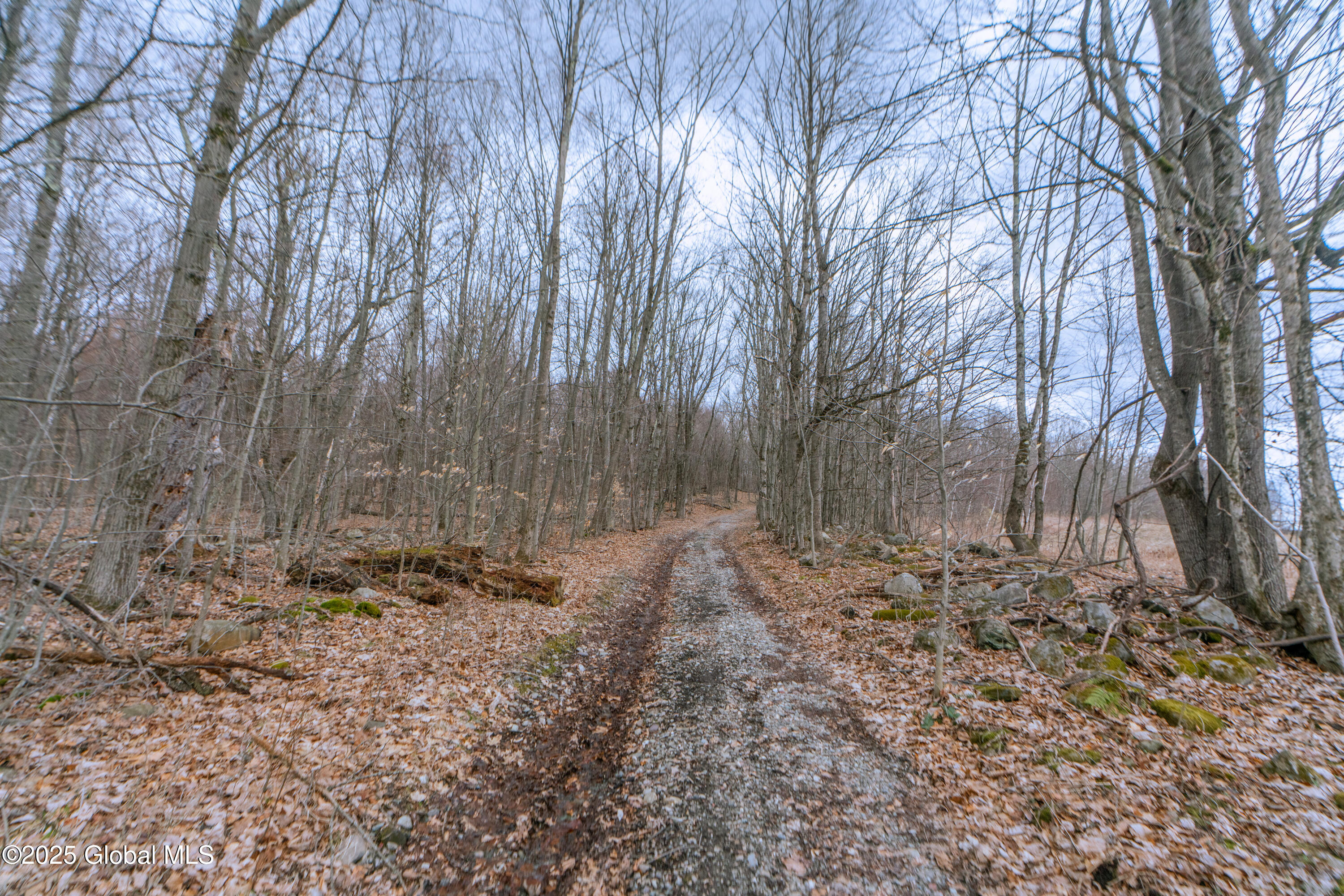 52 Oak Hill Road, Salem, New York image 4