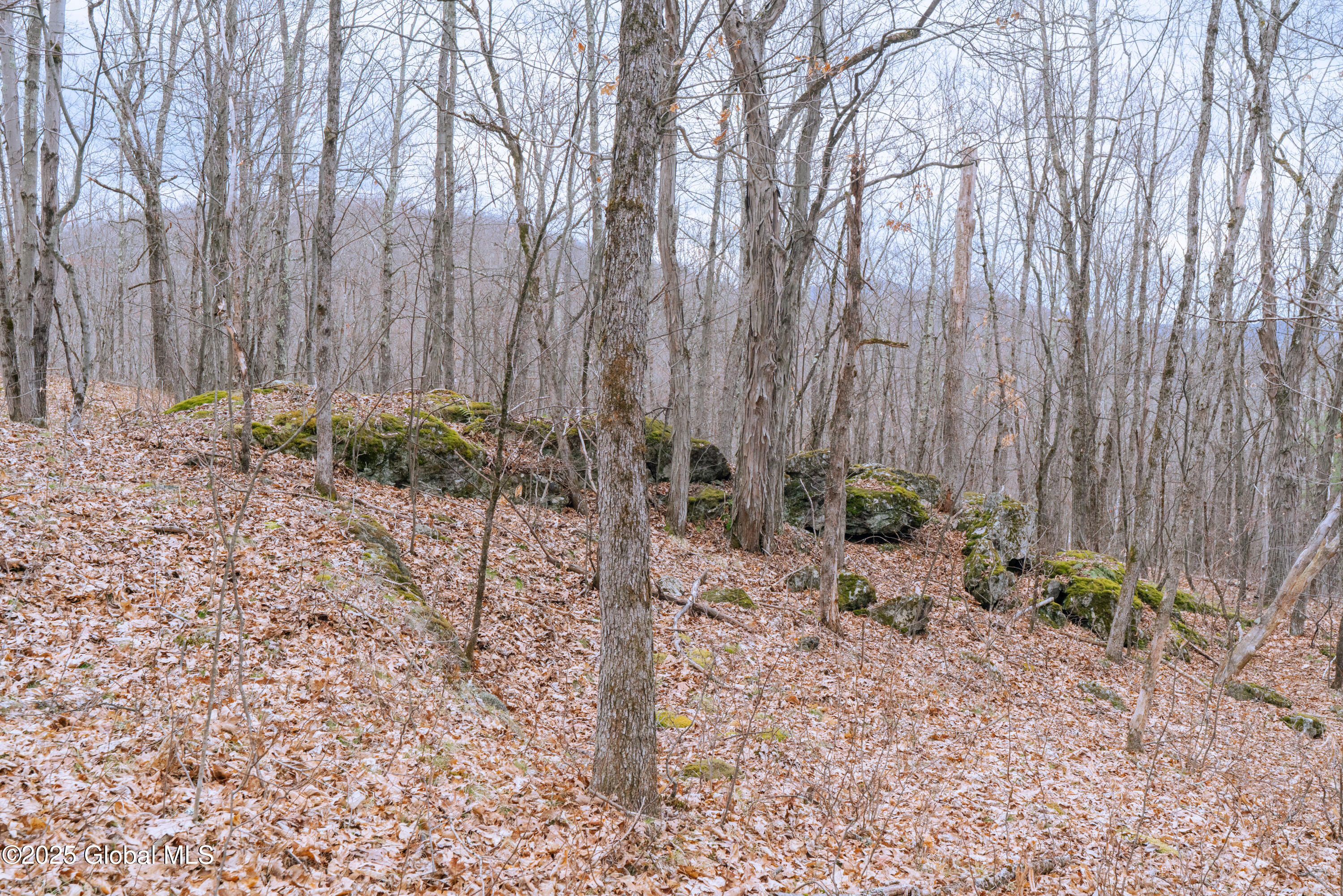 52 Oak Hill Road, Salem, New York image 30