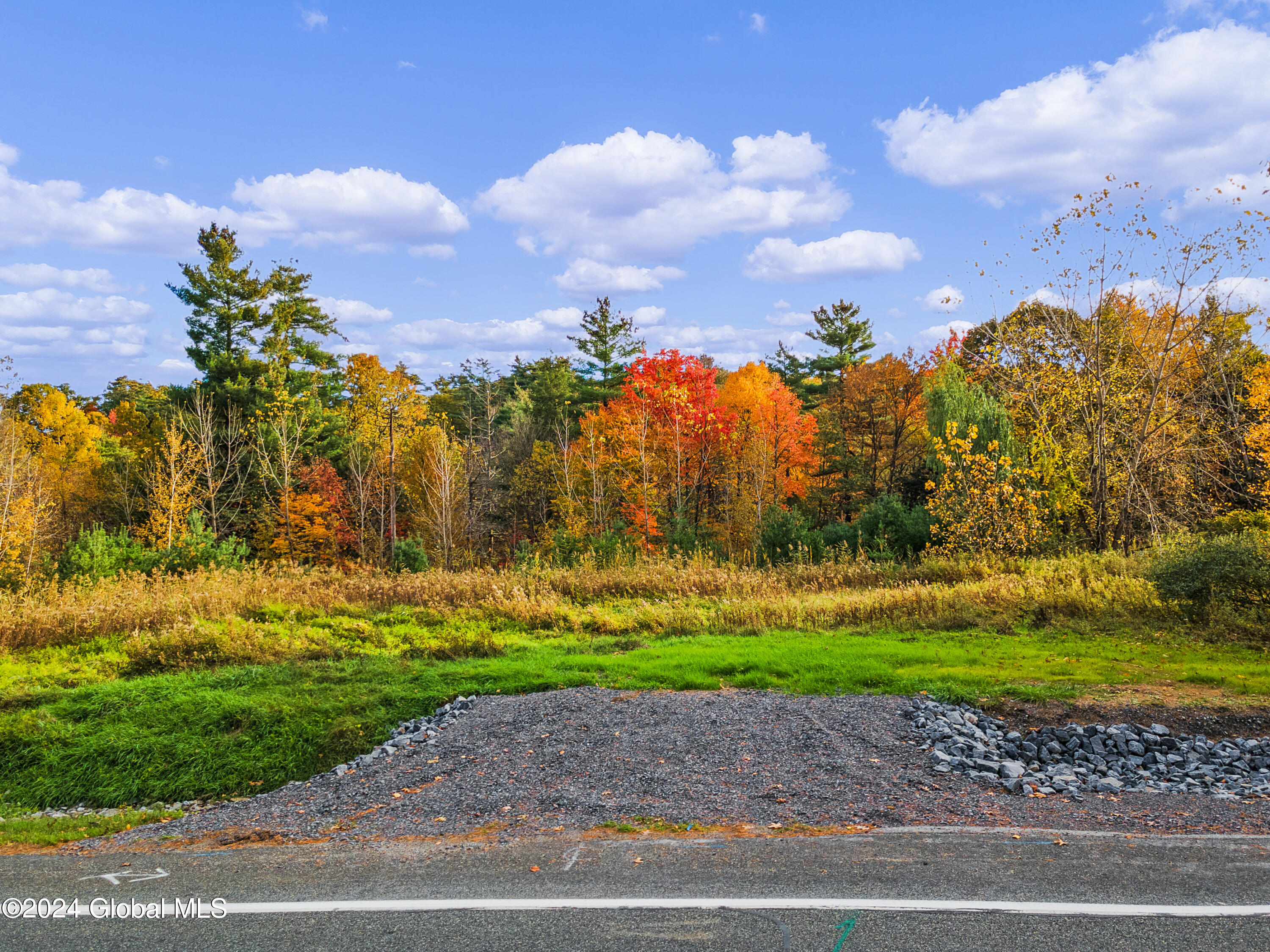 00.91 Cold Springs Road, Saratoga Springs, New York image 1