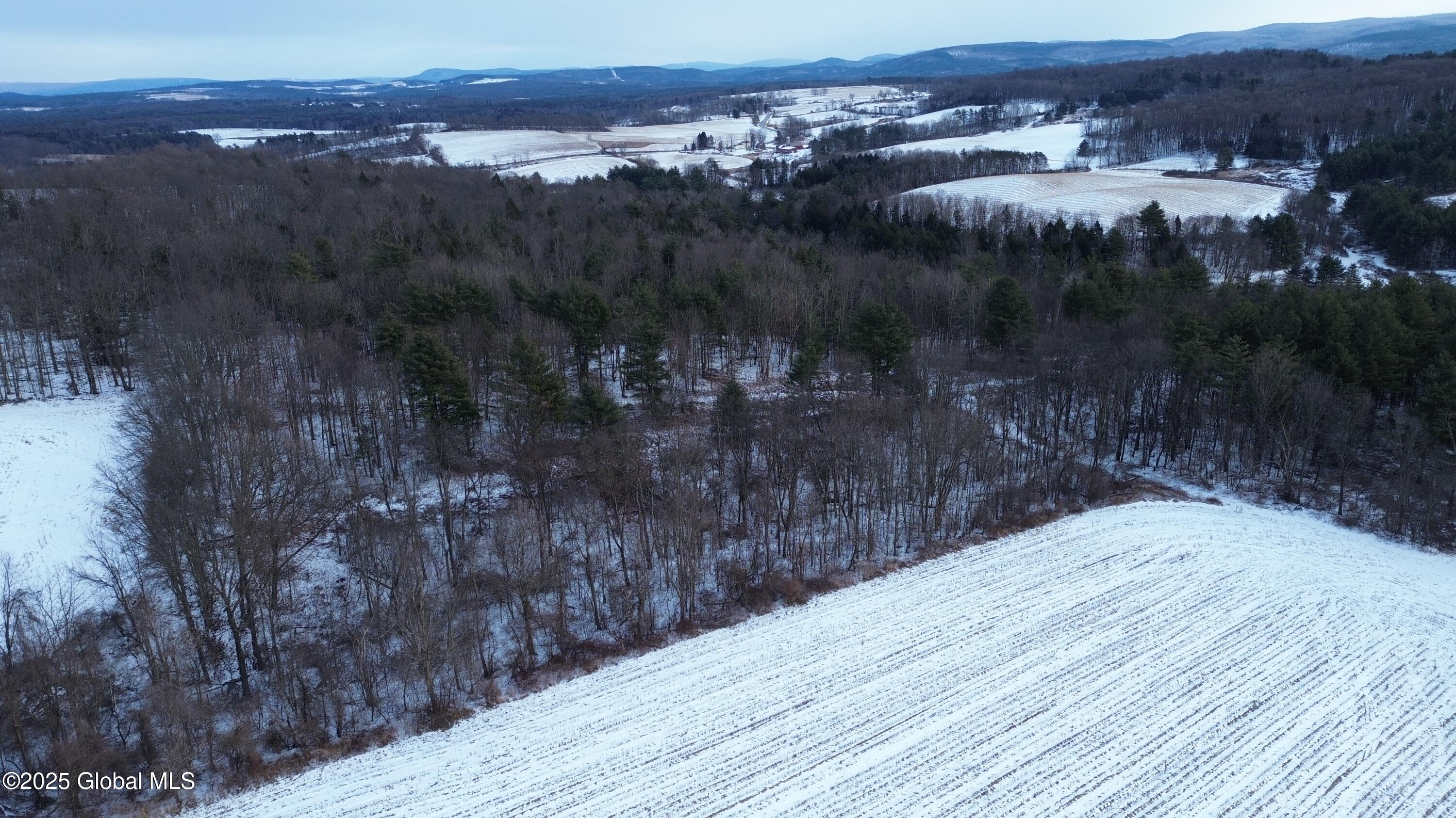 L27.11 Otter Creek Road, Johnsonville, New York image 15