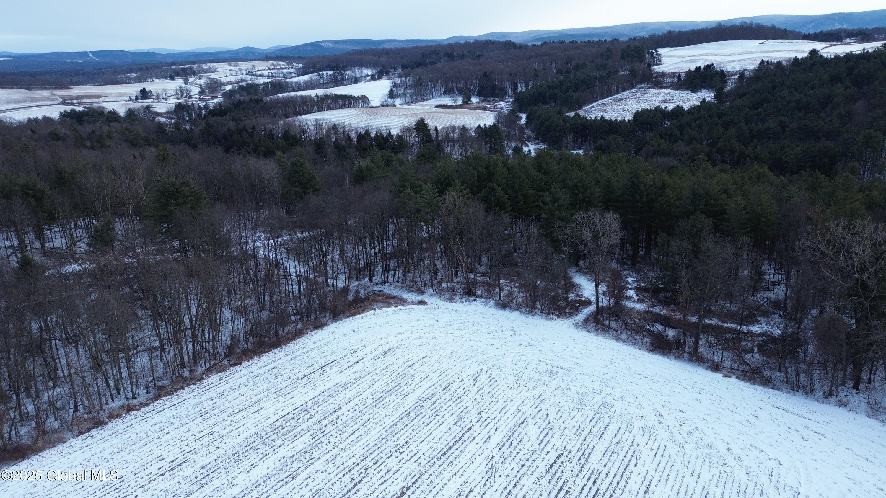 L27.11 Otter Creek Road, Johnsonville, New York image 10