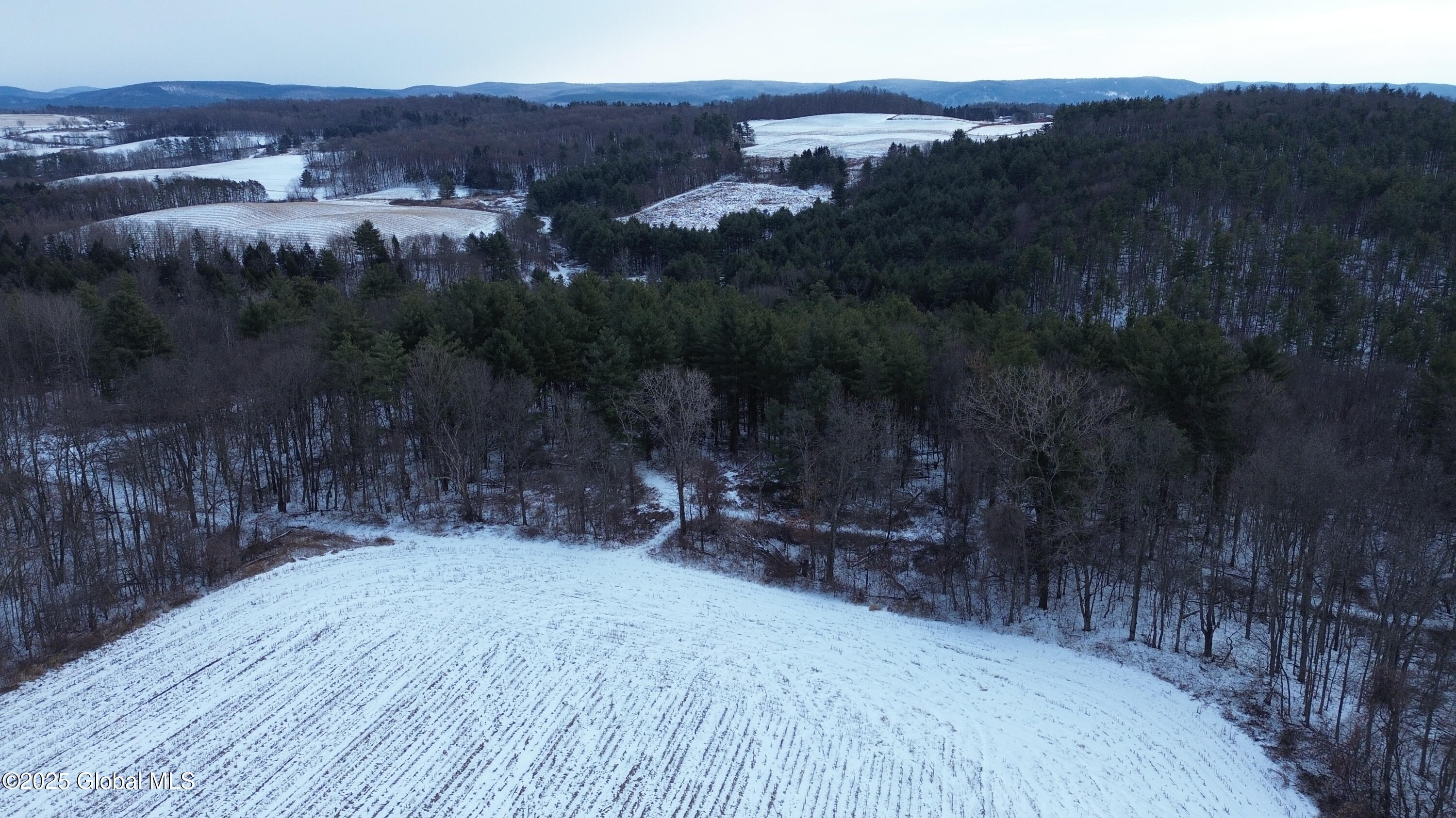 L27.11 Otter Creek Road, Johnsonville, New York image 6