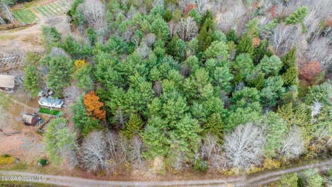 Photo for 206 Manor Creek Road