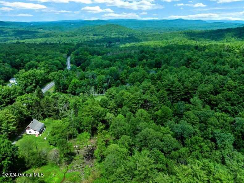 View New Lebanon, NY 12024 land