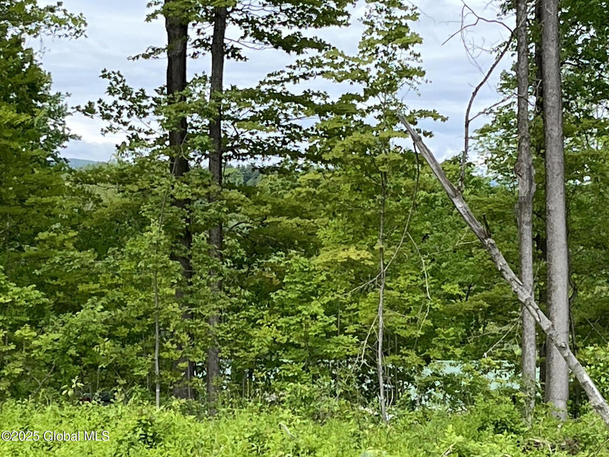 L4.3 Tripoli Road, Hudson Falls, New York image 6