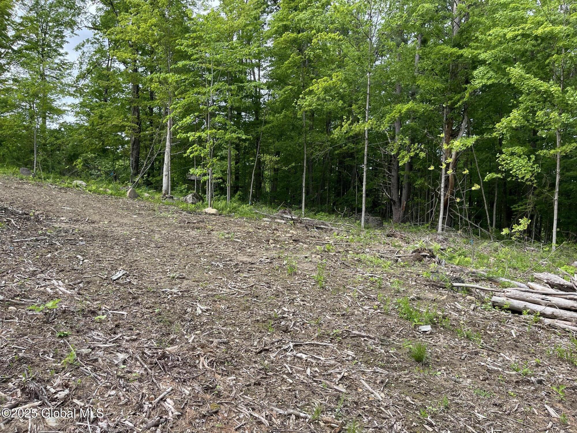 L4.3 Tripoli Road, Hudson Falls, New York image 4