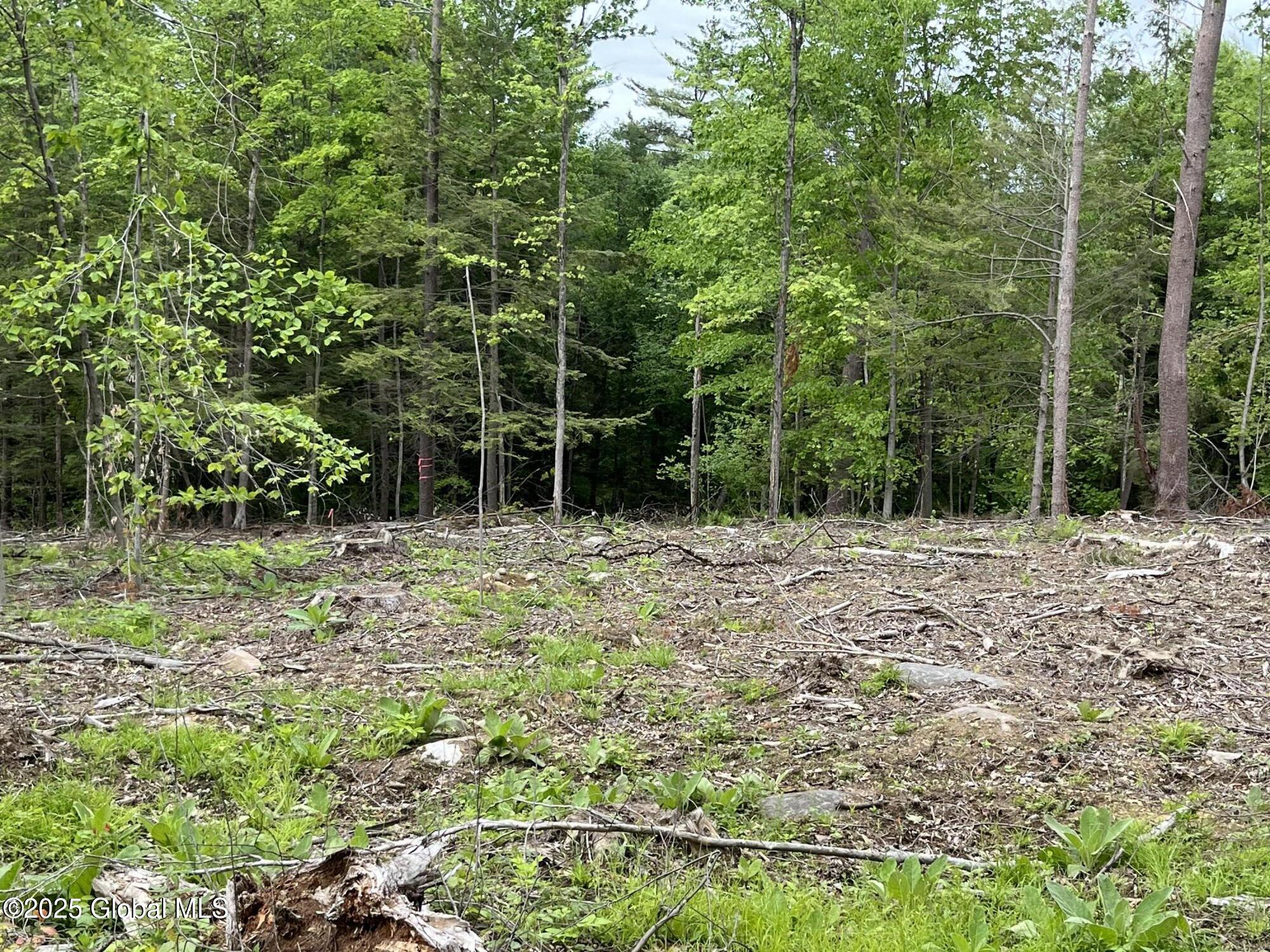 L4.3 Tripoli Road, Hudson Falls, New York image 8