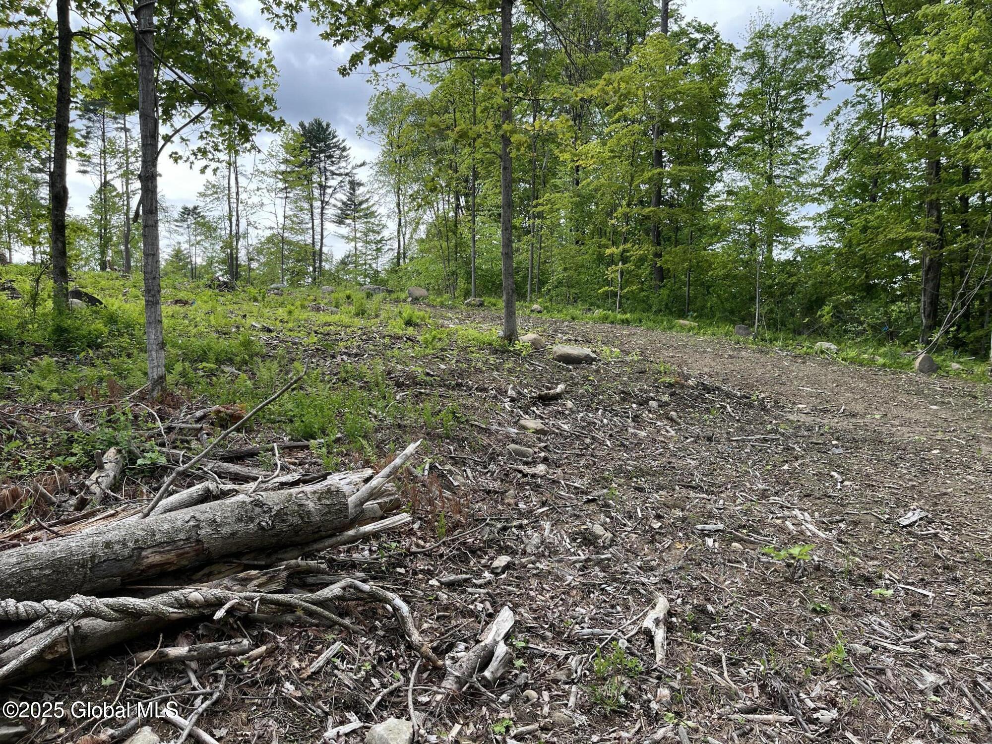 L4.3 Tripoli Road, Hudson Falls, New York image 5