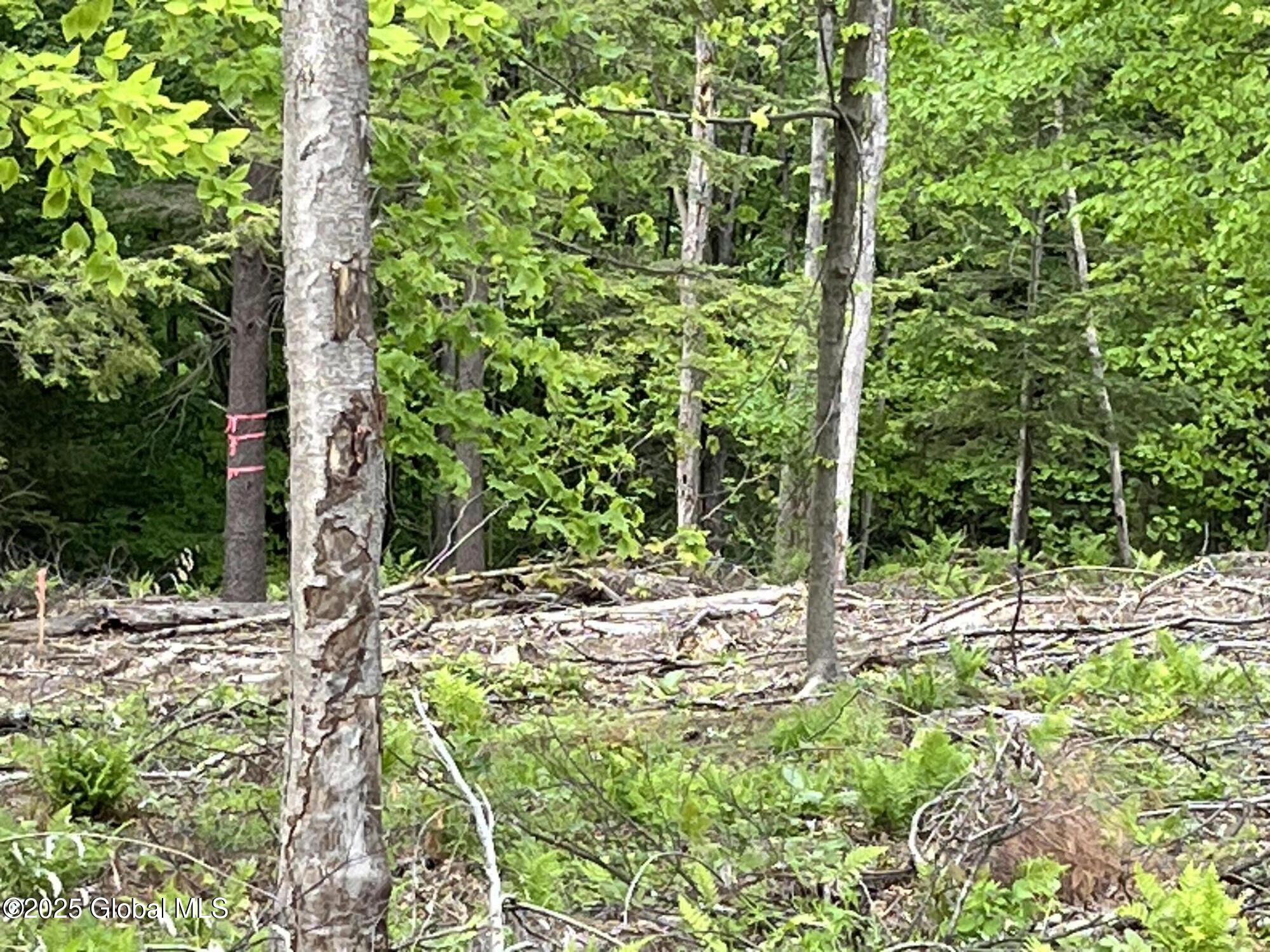 L4.3 Tripoli Road, Hudson Falls, New York image 10