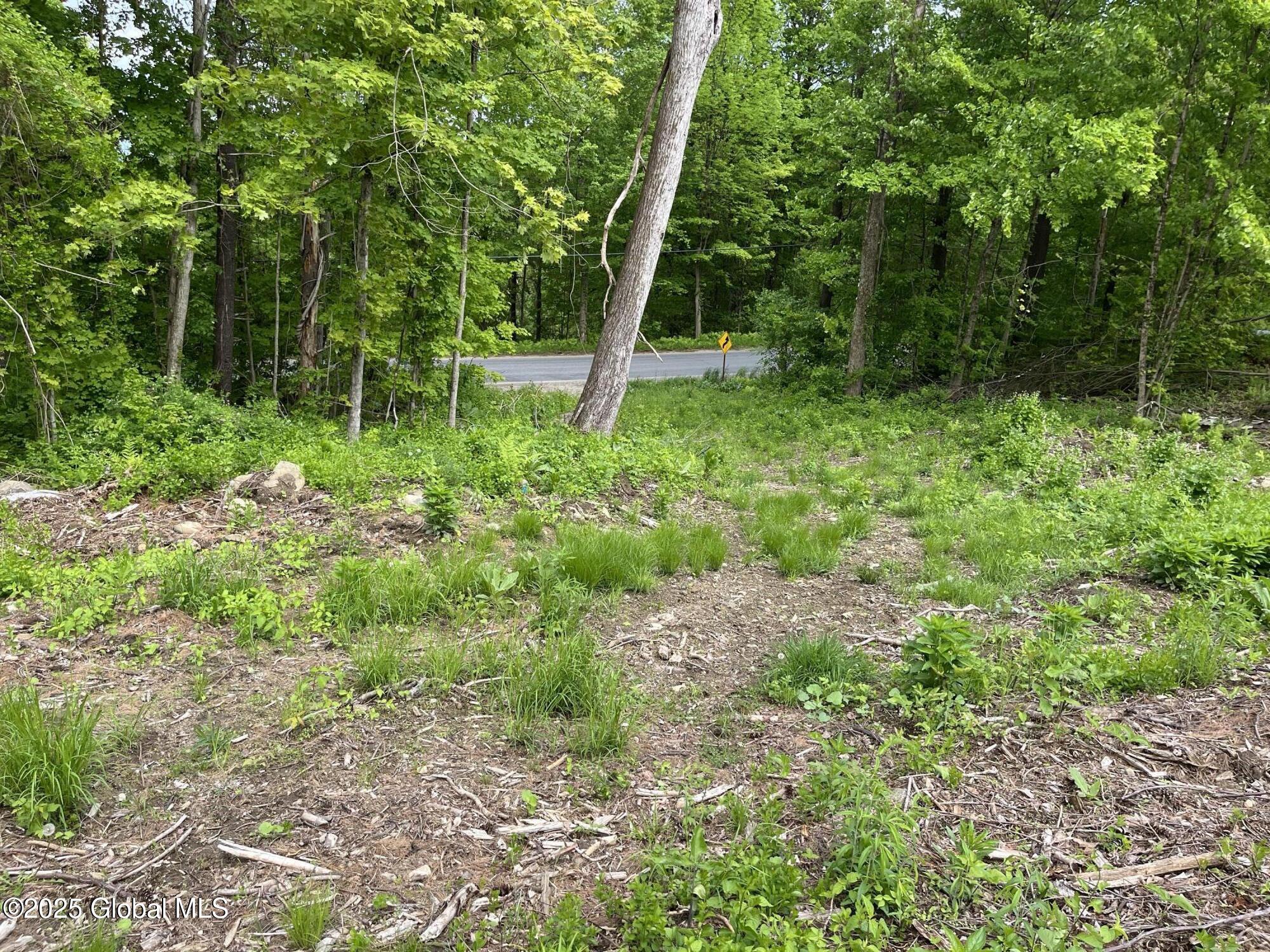L4.3 Tripoli Road, Hudson Falls, New York image 3