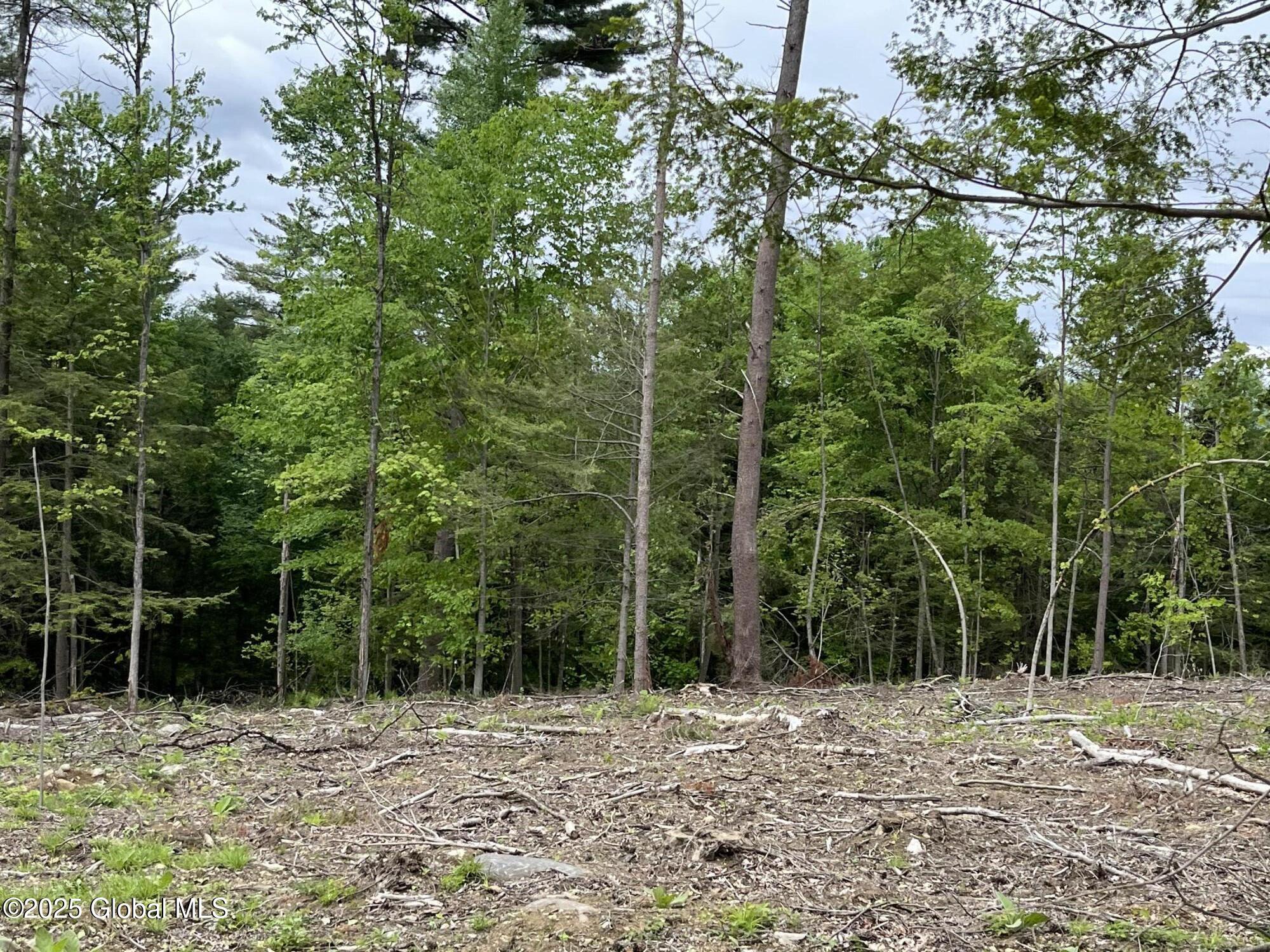 L4.3 Tripoli Road, Hudson Falls, New York image 9