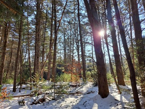 Vacant Land For Sale - L17 Rice Road<br/> Hamilton County, Northville, NY 12134