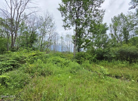 Vacant Land For Sale - L28.03 Halbert Hill Road<br/> South New Berlin, NY 13843