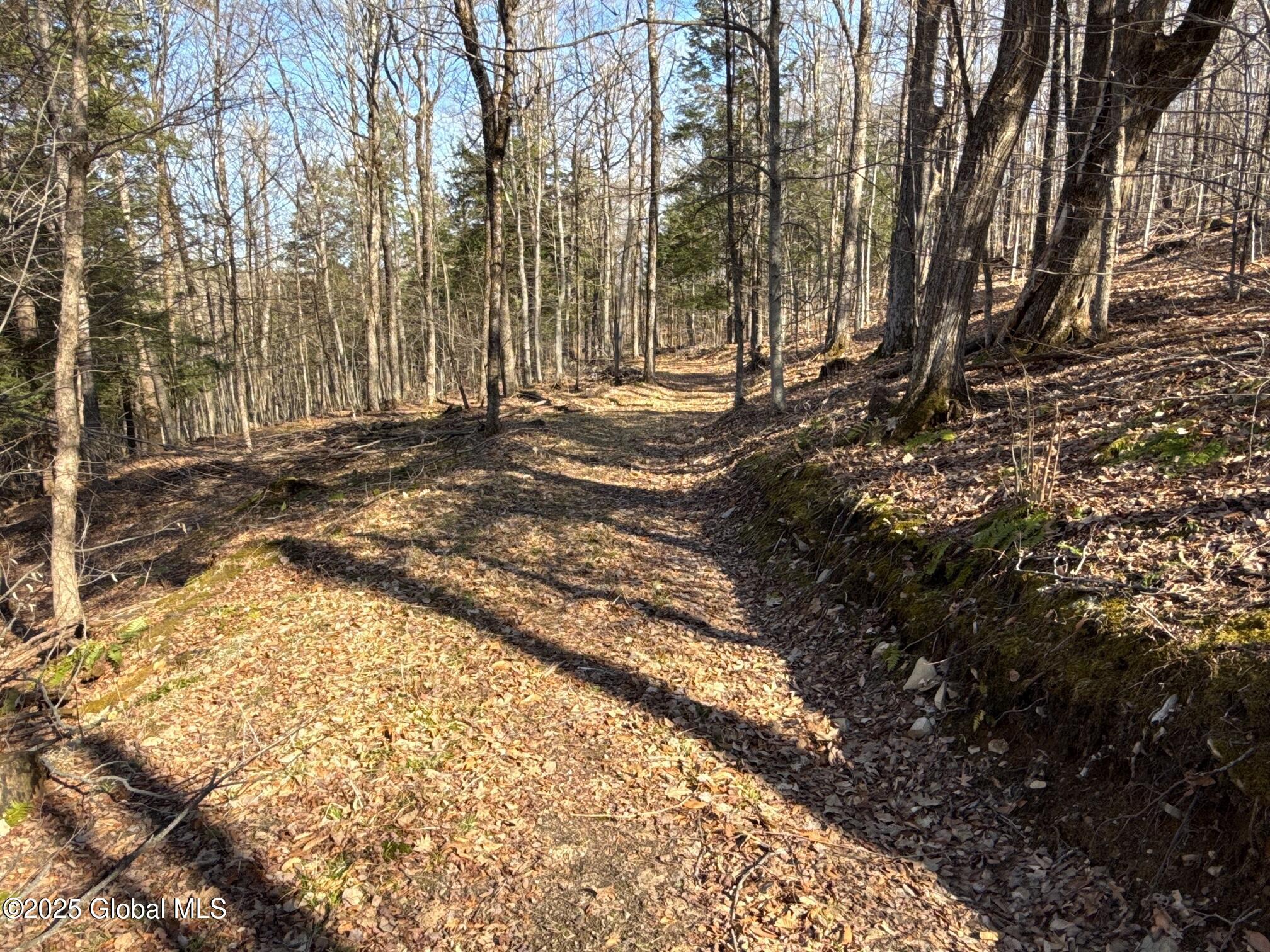 464 Harroway Road, Richmondville, New York image 37