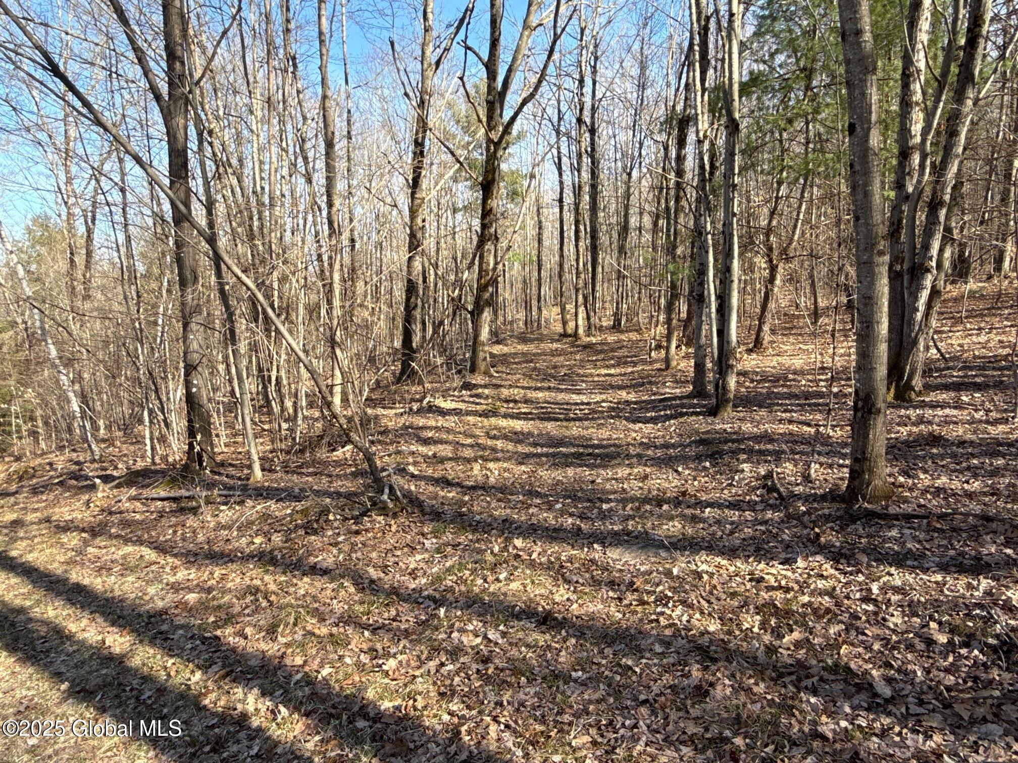 464 Harroway Road, Richmondville, New York image 36