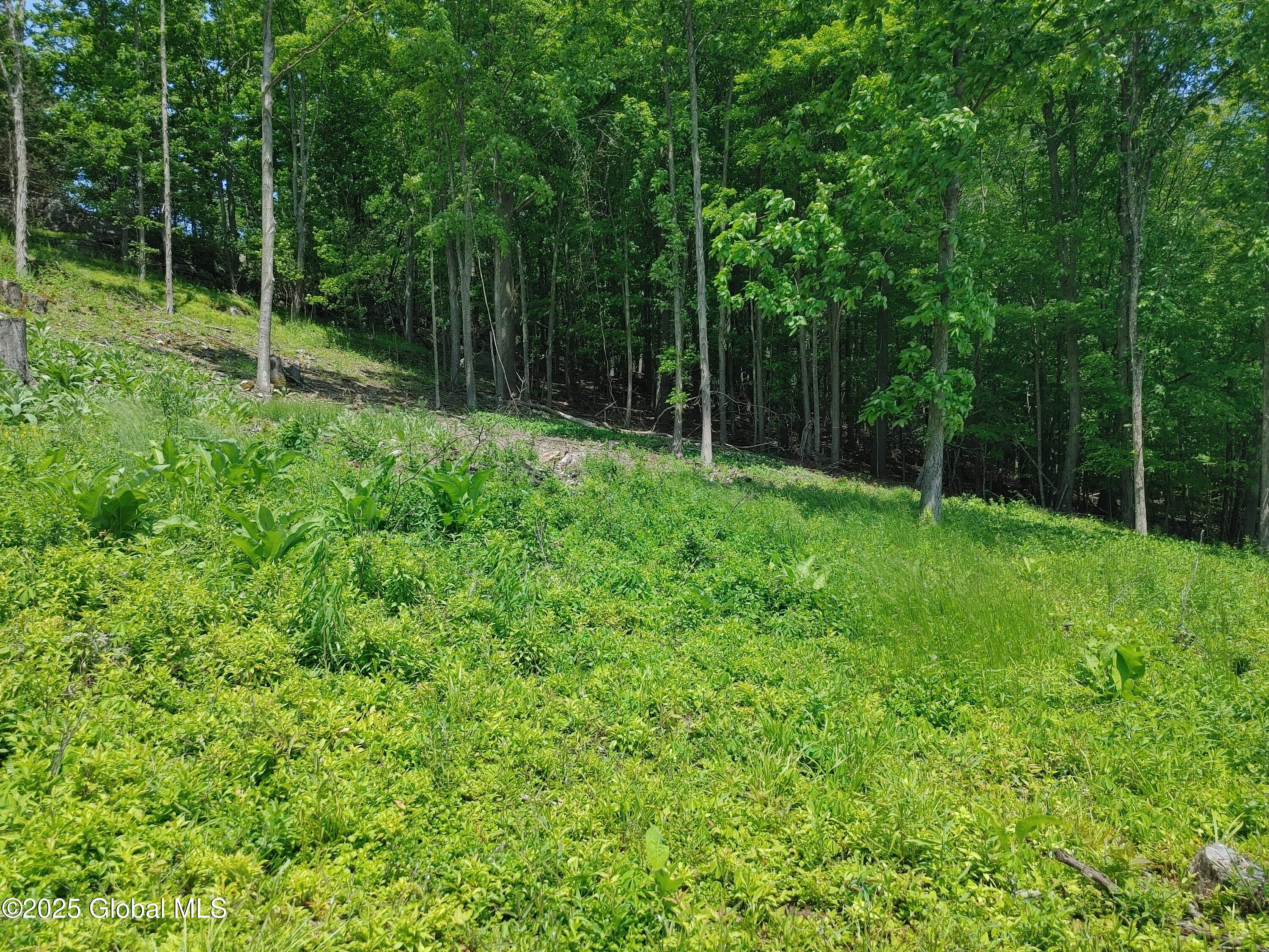 67 Hutton Square Road, Putnam Station, New York image 4