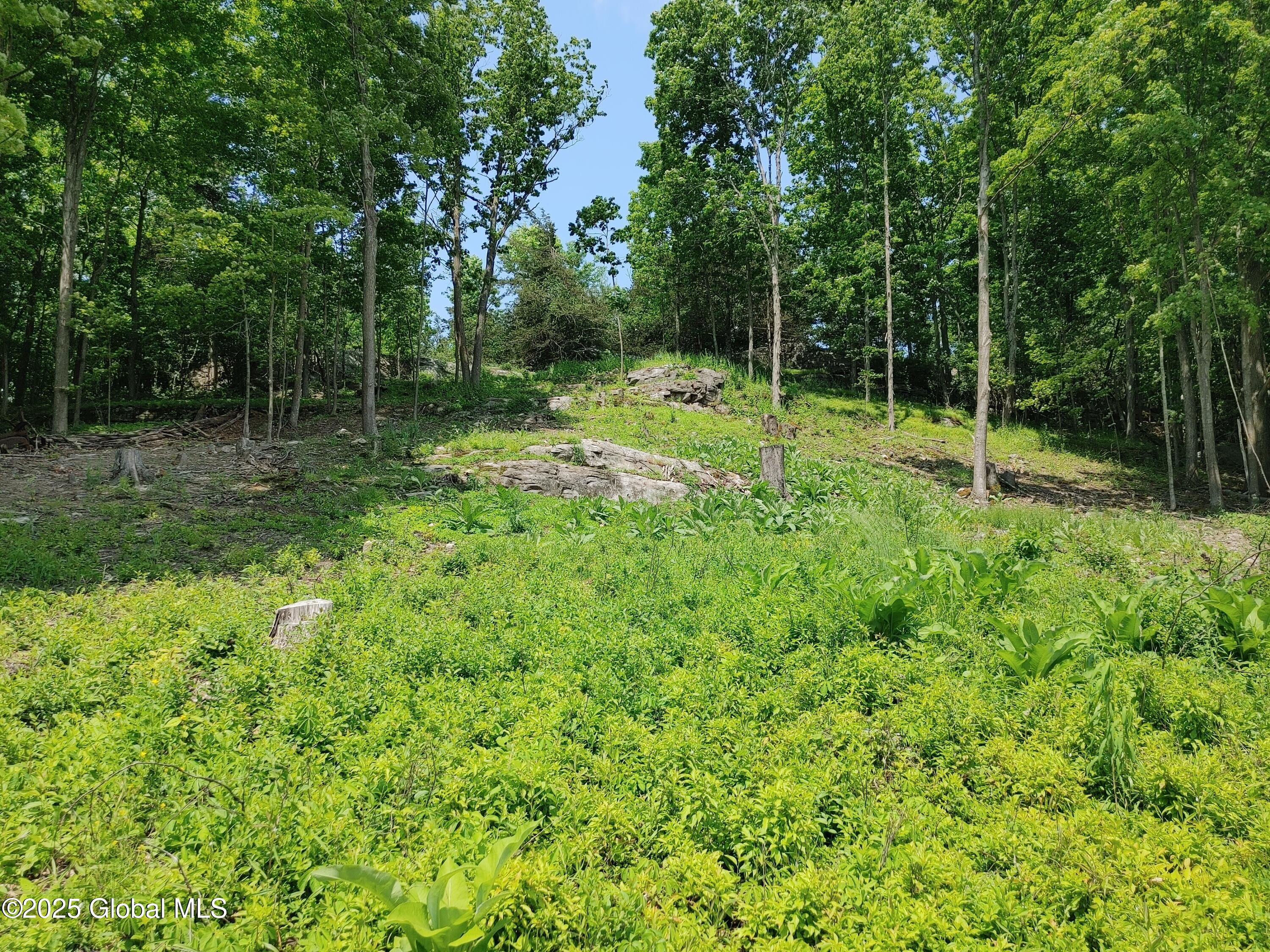 67 Hutton Square Road, Putnam Station, New York image 6