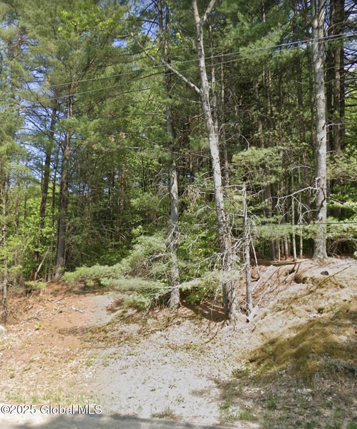 79 Tannery Hill Road, Porter Corners, New York image 1