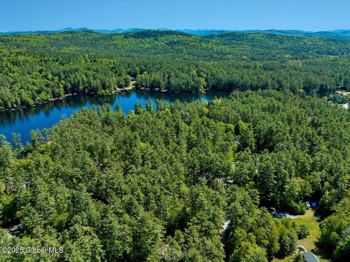 209 Chester Shores Ridge, Chestertown, New York image 34