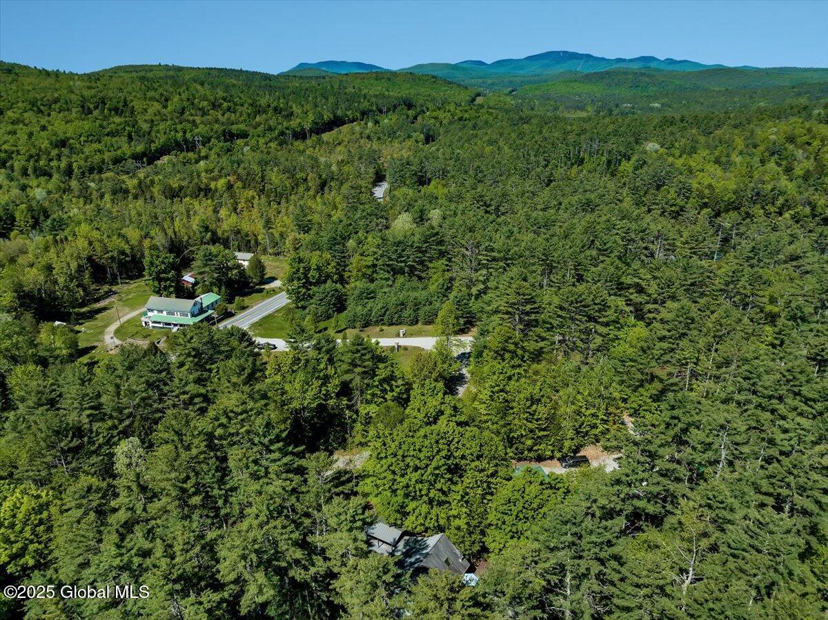 209 Chester Shores Ridge, Chestertown, New York image 32