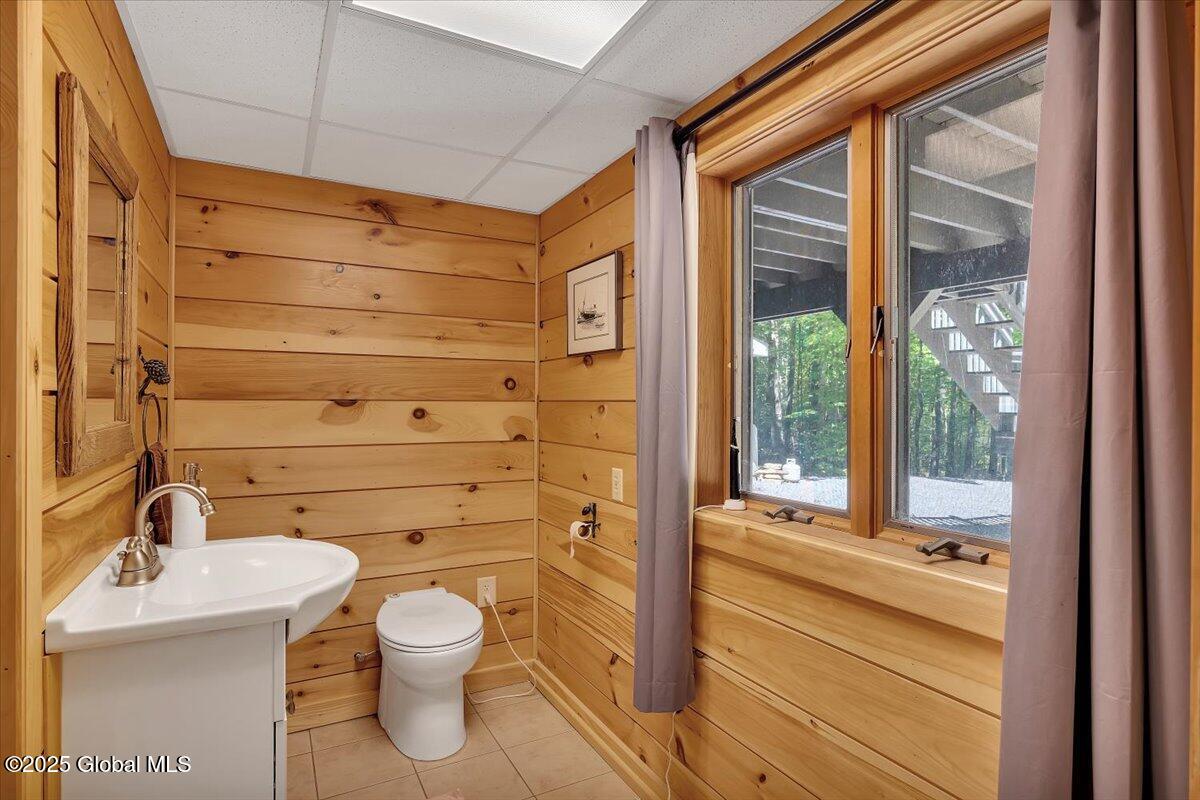 209 Chester Shores Ridge, Chestertown, New York image 28