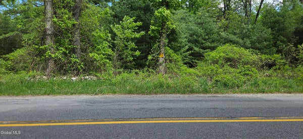 HOWE RD, GREENFIELD CENTER, NY 12833 - Image b9a46a20a600c842ece5ce9d6d138685/2076231832